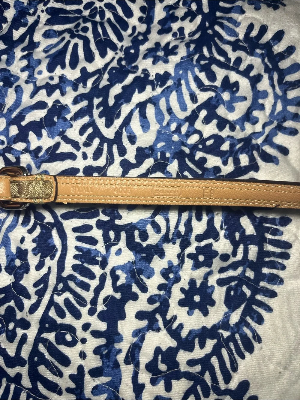 Coach premium leash